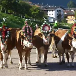 Gruberhof 农家乐 里斯奥尔巴赫塔