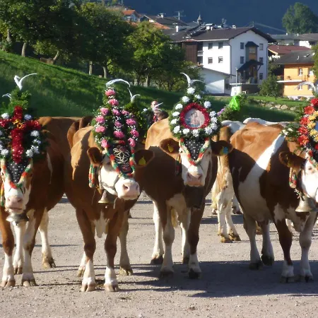 Gruberhof Çiftlik konaklama Reith im Alpbachtal