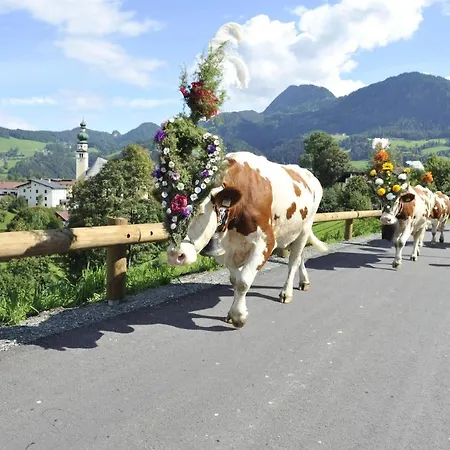 Çiftlik konaklama Gruberhof