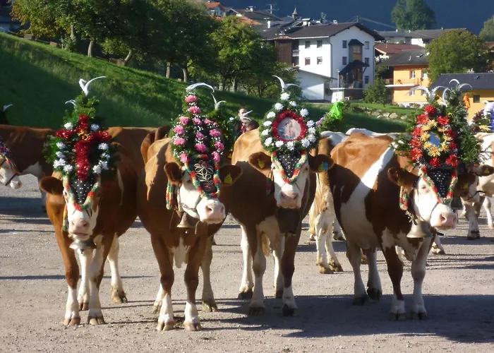 Gruberhof Çiftlik konaklama Reith im Alpbachtal